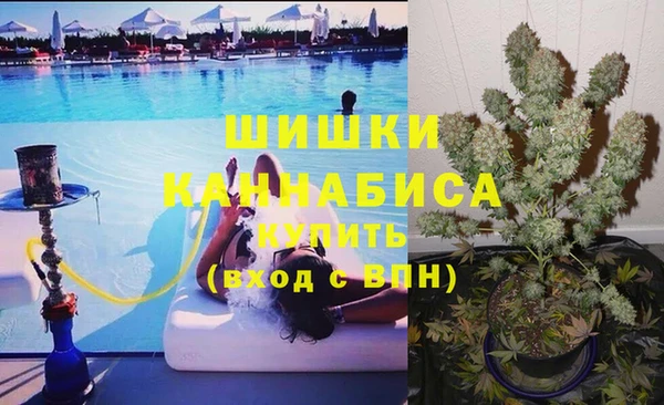 дживик Майский