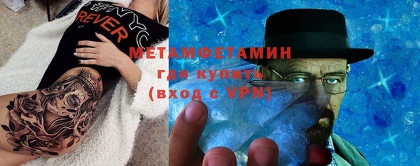 дживик Майский