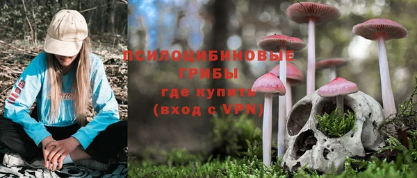 прущие крисы Медвежьегорск