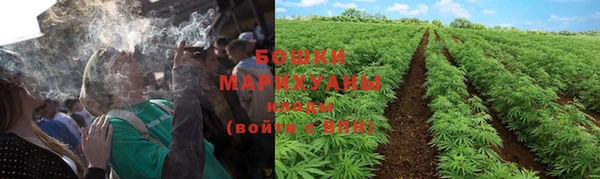 дживик Майский