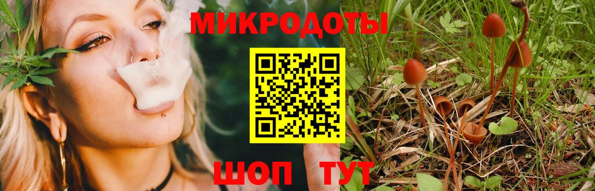 Псилоцибиновые грибы прущие грибы Менделеевск