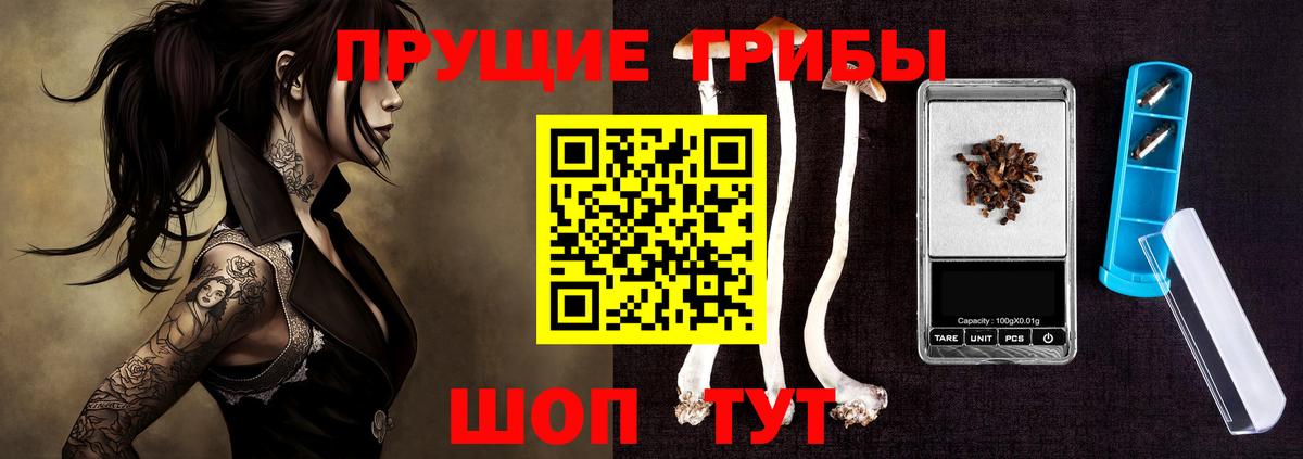 Псилоцибиновые грибы MAGIC MUSHROOMS  Менделеевск 