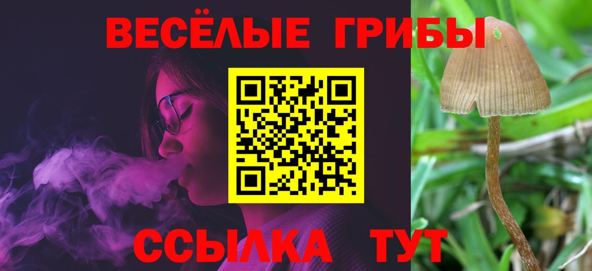 Галлюциногенные грибы мухоморы  Вход с VPN  Менделеевск 