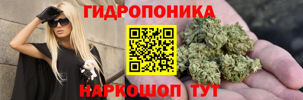 Бошки Шишки семена  Шишки марихуана сатива  Менделеевск  Бошки Шишки план  Вход с VPN 